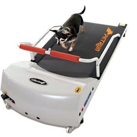 PetRun Dog Exercise Treadmill - PR700  BY GoPet - Up To 44 lbs